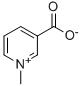 Trigonelline